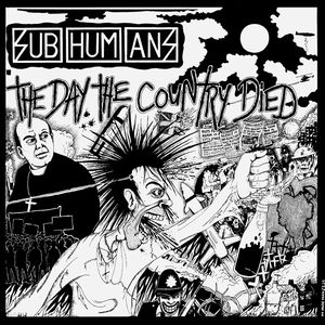 hardcore punk the day the country died