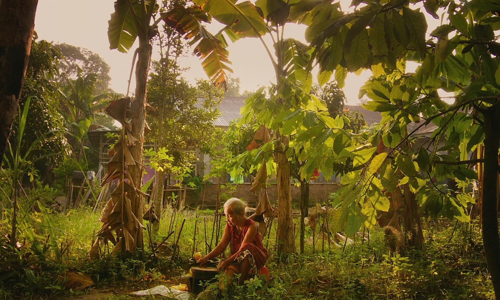 top films of 2015 the look of silence