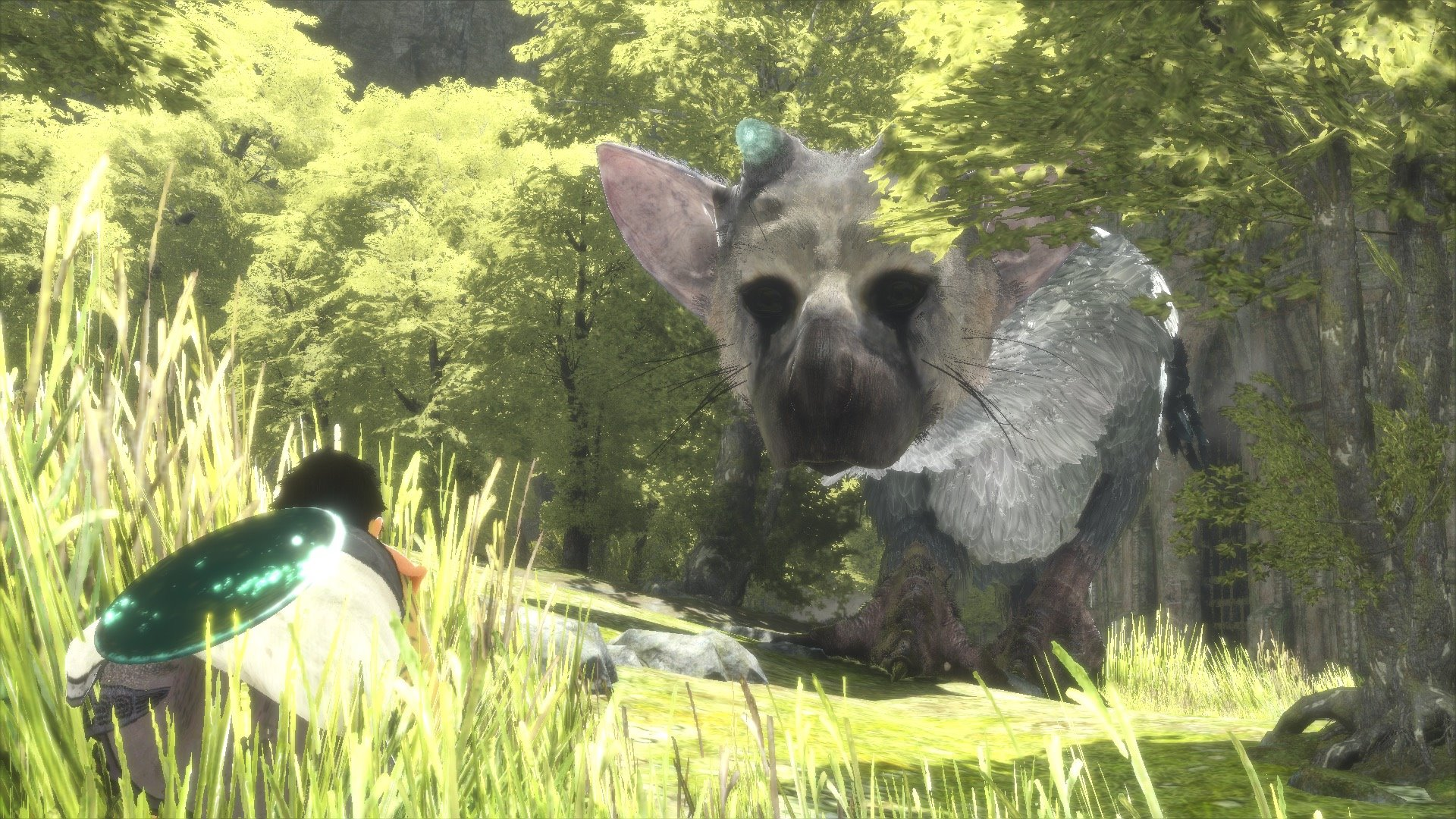 the last guardian mad