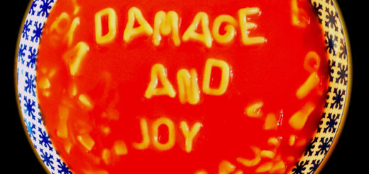 damage and joy