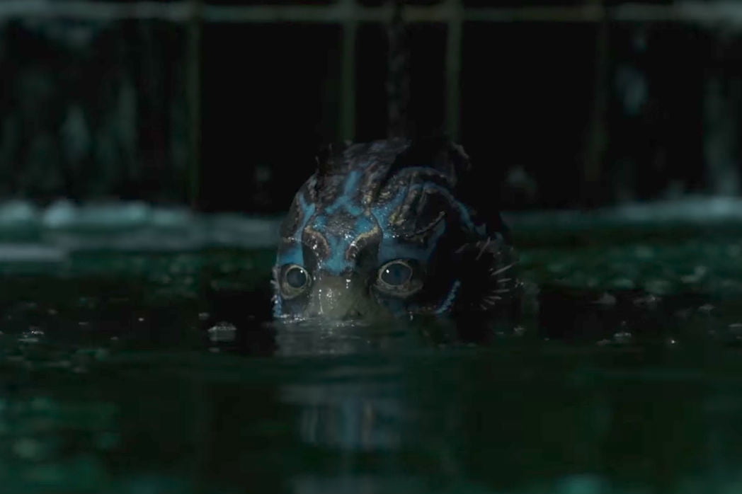 the shape of water creature
