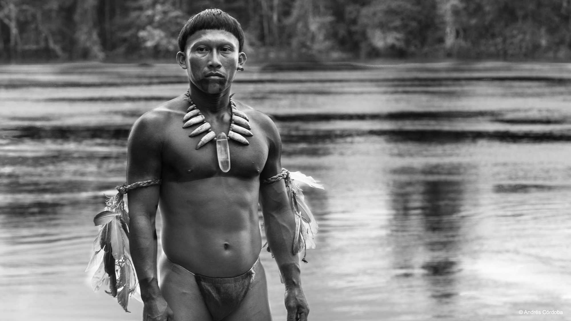 sundance second half roundup embrace of the serpent