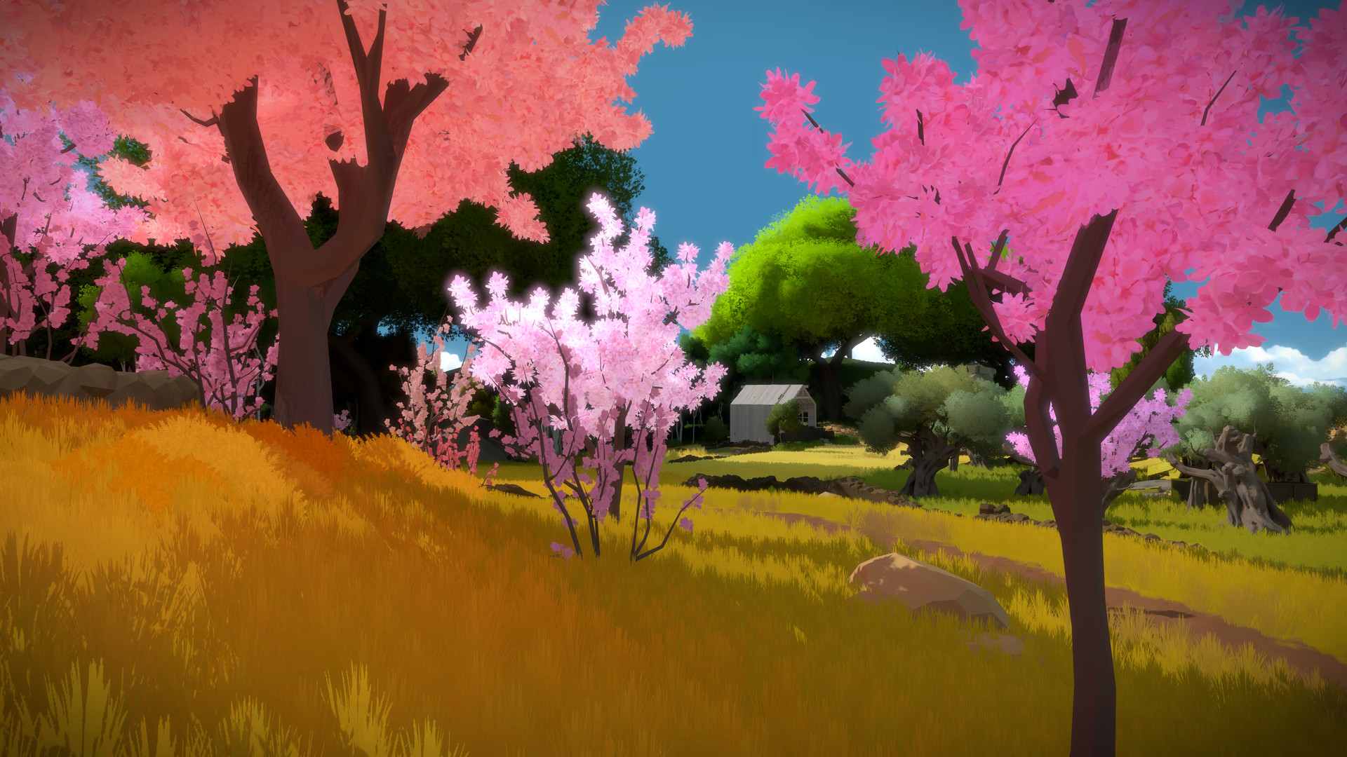 the witness puzzles and repose