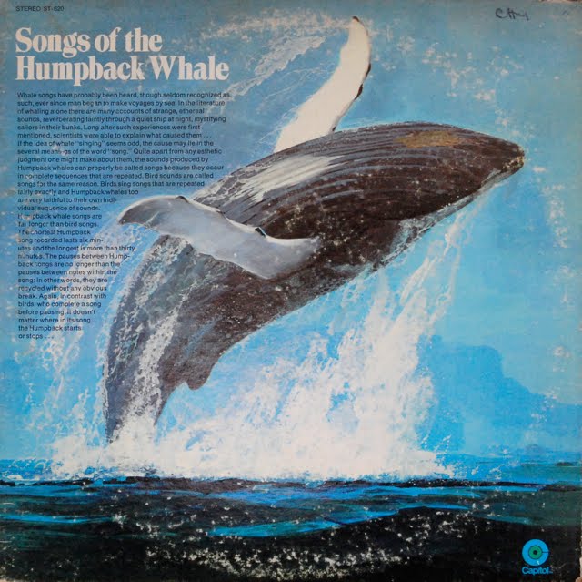 nature recordings songs of the humpback whale