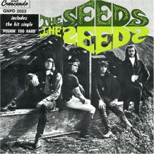 garage rock the seeds