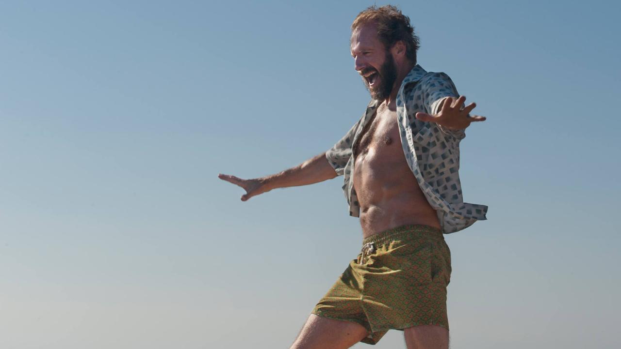 a bigger splash fiennes