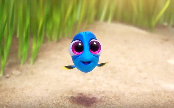 finding dory baby dory