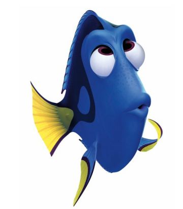 finding dory marina