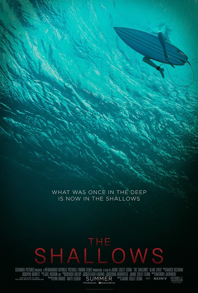 the shallows