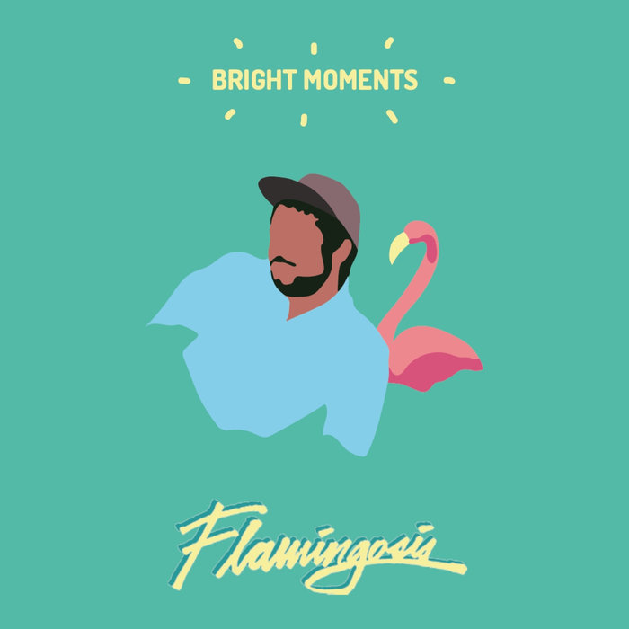 bandcamp picks of the week flamingosis