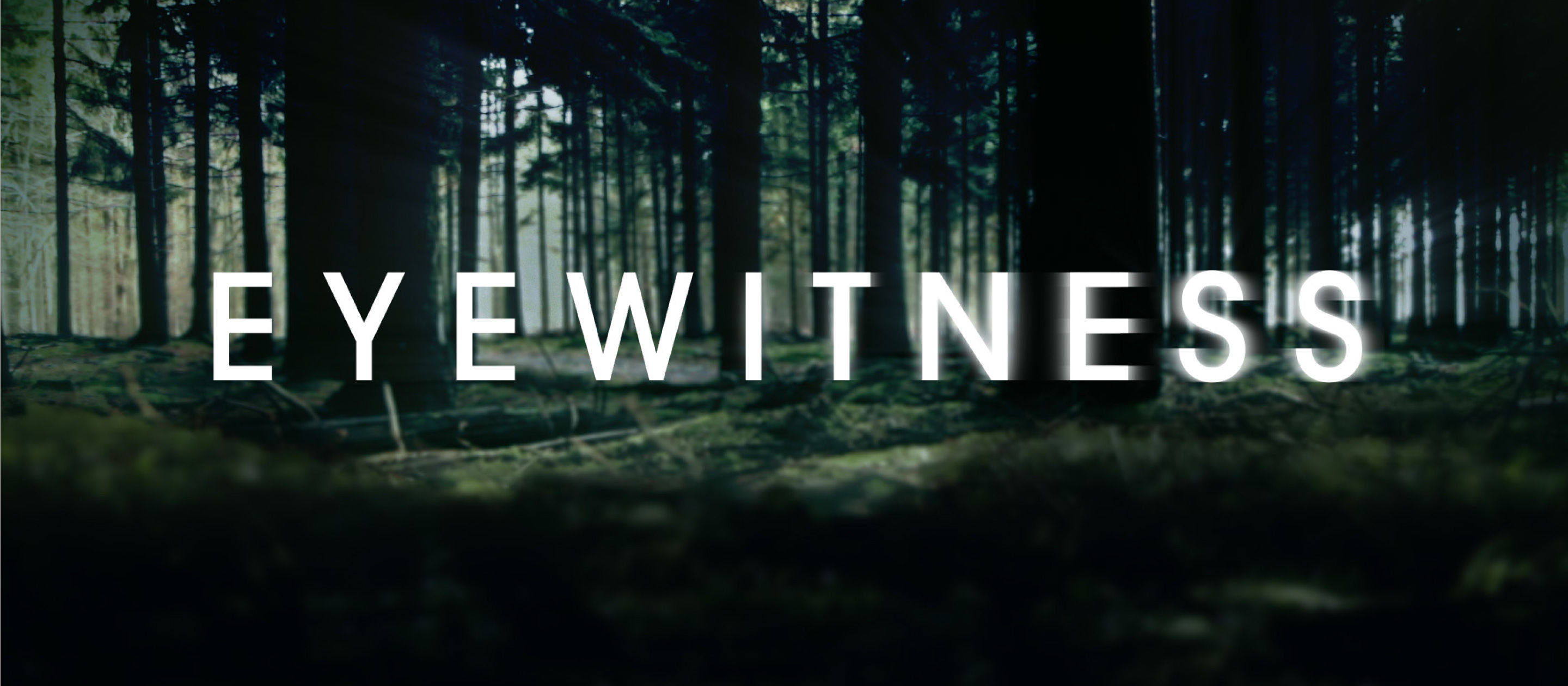 eyewitness logo