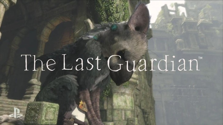 the last guardian