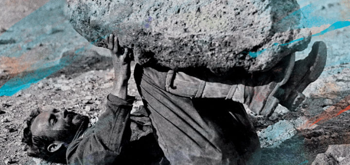 music roundup forest