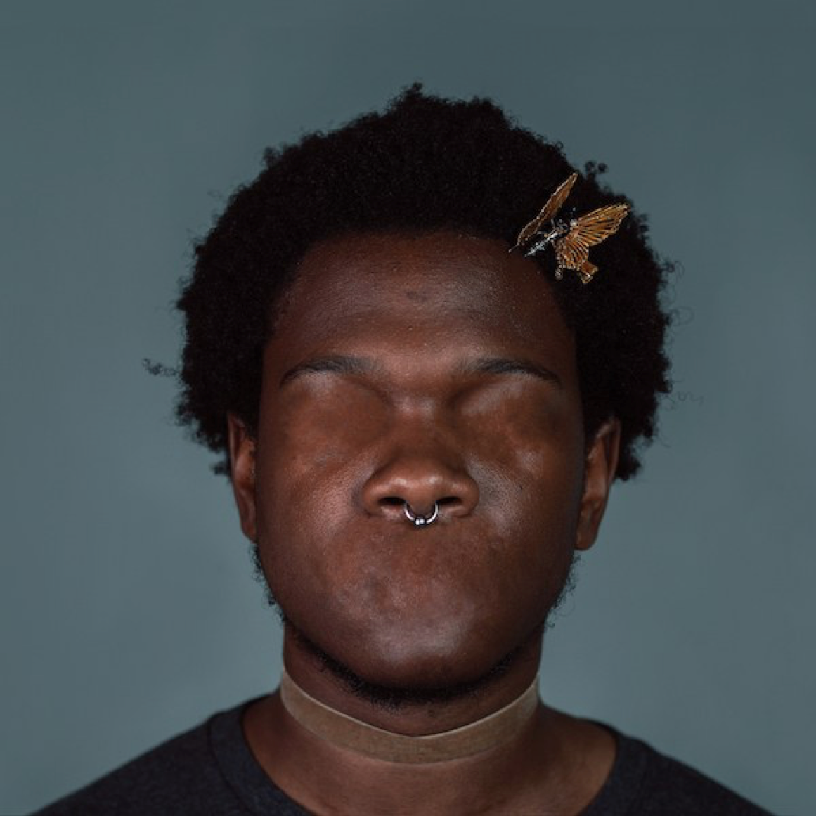 music roundup shamir